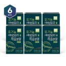보리보틀 쇼핑하우