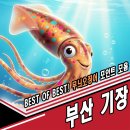 구평동-21 | 부산 기장 무늬오징어 도보 워킹 루어 에깅 낚시 잘잡히는 포인트 추천