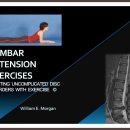 ＜나눔자료-2012-08-23＞ Lumbar Extension Exercises : 허리신전운동을 정리한 자료 (적응증/금기증) 이미지