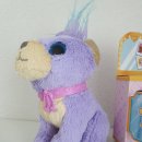 월드애견미용실 이미지