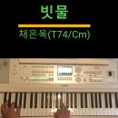 빗물(채은옥-Cm-T74) 이미지