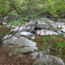 바위집민박 이미지