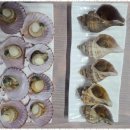 오렌지 민박 이미지