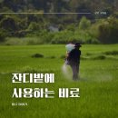 (주)용성바이오 | 잔디에 사용하는 비료