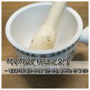 지교