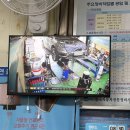늘푸른타이어