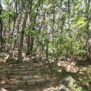 신어산 산림욕장 이미지