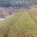 죽청마을 이미지