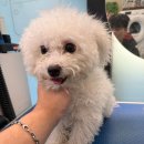 개르띠에 이미지