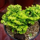 유원농장 이미지