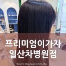 딥디아 | 일산 웨돔 미용실 추천｜프리미엄이가자 일산차병원점 플로디아 클리닉 솔직 후기✨