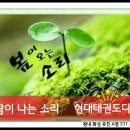 키즈 태권도 현대체육관 이미지