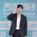 더핸섬 이미지