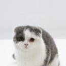 마석동물병원 이미지