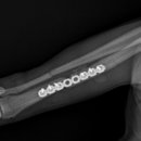 태백동물병원 이미지