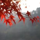 가산연세의원 이미지