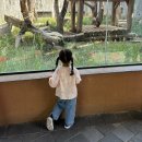 씨유전주제일점 | 전주 아이와 가볼만한 곳 전주동물원 입장권 동물원 놀이기구 방문 후기