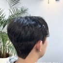 젤라헤어 - 세종특별자치시 | 젤라헤어