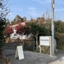 볼수록제주 | 제주도 애월 카페 고양이가 있는 볼수록 제주 내돈내산 후기