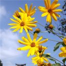 함평 이재혁가옥 이미지