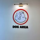 도그아레아 이미지