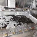 보람초등학교 이미지