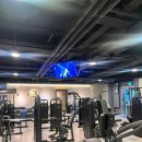 오브휘트니스