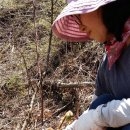 진안읍 0159 이미지