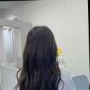 머리잘하는집 이미지