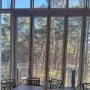 cafe log (카페로그) | [양양 카페 추천] 숲 뷰가 예술인 북카페 '카페 로그(LOG)' 방문 후기 (양양 가볼만한곳/힐링여행) 🌲📚
