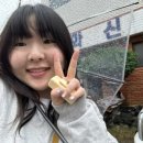 화신탕 이미지