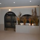 퍼피루스 이미지