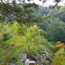 산으로 캠핑장 이미지