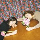 참좋은세탁소 이미지