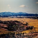 수원-1824 이미지