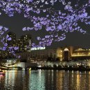 석촌호수 서호(카페 앞) | [잠실] 벚꽃 구경하기 좋은 석촌호수 카페, 호수미 내돈내산 후기