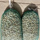 대서우체국 이미지