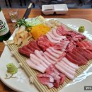 1972숙성참치한판
