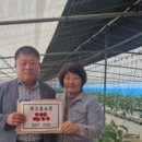 (주)삼도통신 이미지