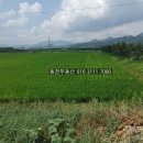 동읍1230 이미지