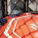 영남권투체육관 이미지