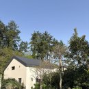 스테이여린 이미지