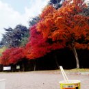 피재골약수터 이미지