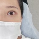 제리쉬(Zyelish) | 신촌 속눈썹 펌 잘하는 제리쉬에서 블랙틴트펌하고 인생 속눈썹