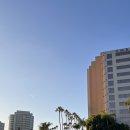 호야과일 | [샌디에이고 숙소] 엠버시 스위트 바이 힐튼 샌디에이고 라 호야 객실 조식 수영장 후기