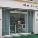 디어 마이 독 이미지