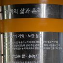 공간의 재활용 &lt;고색 뉴지엄&gt;
