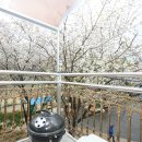 빛나리민박 이미지