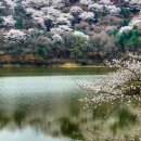 희원 이미지