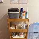 코코애견 이미지